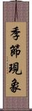 季節現象 Scroll