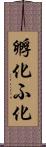 孵化 Scroll