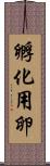 孵化用卵 Scroll