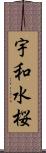 宇和水桜 Scroll