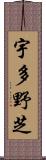 宇多野芝 Scroll