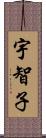 宇智子 Scroll