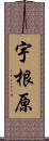 宇根原 Scroll