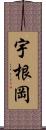 宇根岡 Scroll