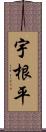 宇根平 Scroll