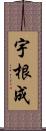 宇根成 Scroll