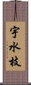 宇水枝 Scroll
