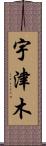 宇津木 Scroll