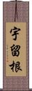 宇留根 Scroll