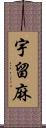 宇留麻 Scroll