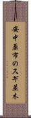 安中原市のスギ並木 Scroll
