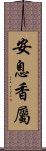 安息香屬 Scroll