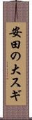 安田の大スギ Scroll