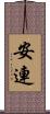 安連 Scroll