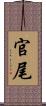 官尾 Scroll