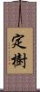 定樹 Scroll