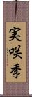 実咲季 Scroll
