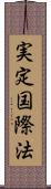 実定国際法 Scroll