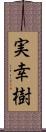 実幸樹 Scroll