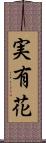 実有花 Scroll