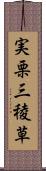 実栗 Scroll