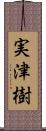 実津樹 Scroll