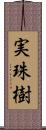 実珠樹 Scroll