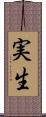 実生 Scroll