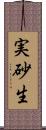 実砂生 Scroll