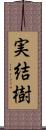 実結樹 Scroll