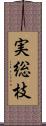 実総枝 Scroll