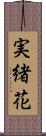 実緒花 Scroll