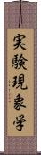 実験現象学 Scroll