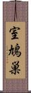 室鳩巣 Scroll