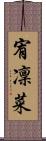 宥凜菜 Scroll