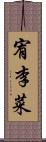 宥李菜 Scroll