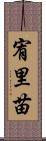 宥里苗 Scroll