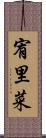 宥里菜 Scroll