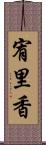 宥里香 Scroll