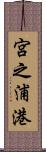 宮之浦港 Scroll