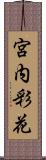宮内彩花 Scroll