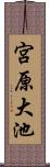 宮原大池 Scroll