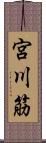 宮川筋 Scroll