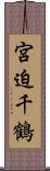 宮迫千鶴 Scroll