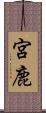 宮鹿 Scroll