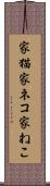 家猫 Scroll