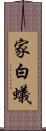 家白蟻 Scroll