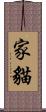 家貓 Scroll