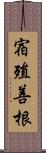 宿殖善根 Scroll