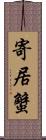 寄居蟹 Scroll